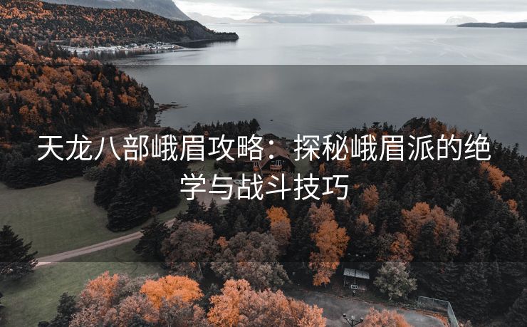 天龙八部峨眉攻略：探秘峨眉派的绝学与战斗技巧