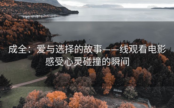 成全：爱与选择的故事——线观看电影感受心灵碰撞的瞬间