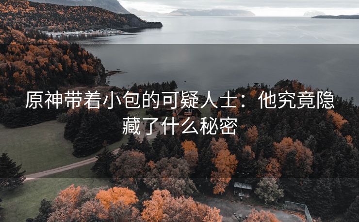 原神带着小包的可疑人士：他究竟隐藏了什么秘密