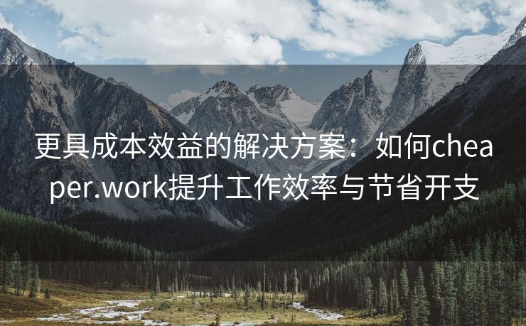 更具成本效益的解决方案：如何cheaper.work提升工作效率与节省开支