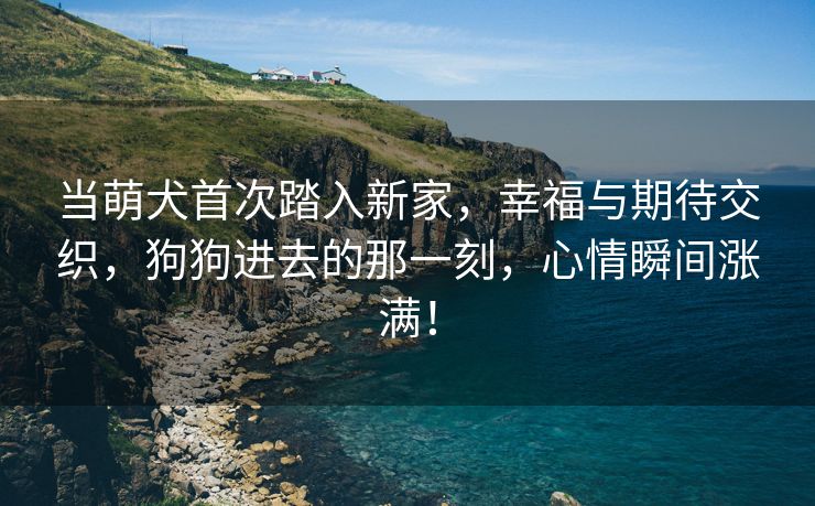 当萌犬首次踏入新家，幸福与期待交织，狗狗进去的那一刻，心情瞬间涨满！