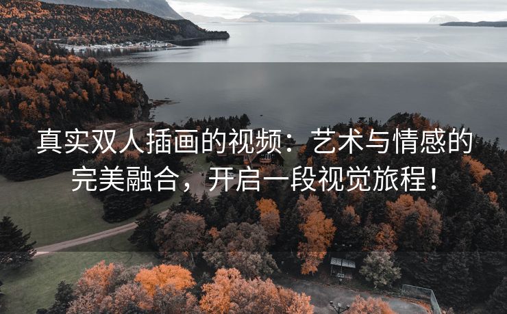 真实双人插画的视频：艺术与情感的完美融合，开启一段视觉旅程！