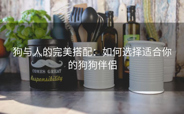 狗与人的完美搭配：如何选择适合你的狗狗伴侣