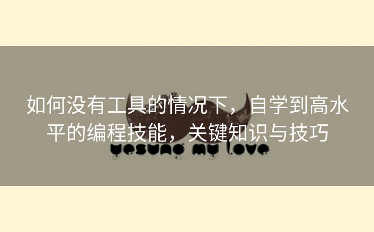 如何没有工具的情况下，自学到高水平的编程技能，关键知识与技巧