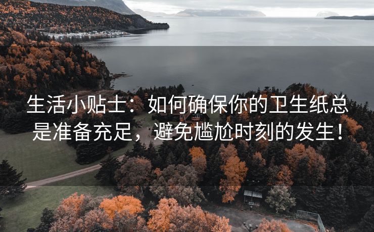 生活小贴士：如何确保你的卫生纸总是准备充足，避免尴尬时刻的发生！