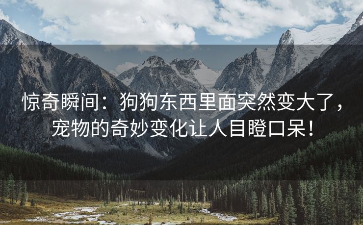 惊奇瞬间：狗狗东西里面突然变大了，宠物的奇妙变化让人目瞪口呆！