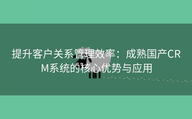 提升客户关系管理效率：成熟国产CRM系统的核心优势与应用