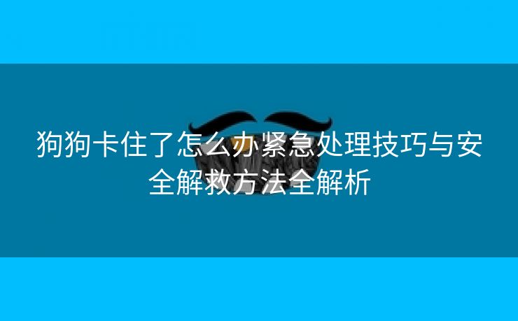 狗狗卡住了怎么办紧急处理技巧与安全解救方法全解析