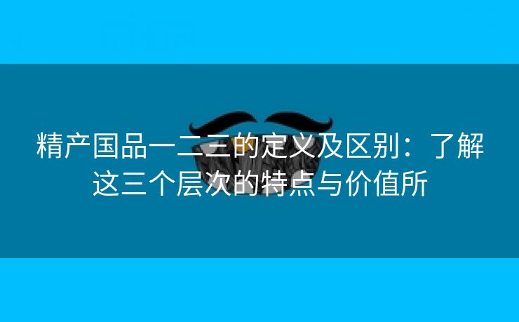 精产国品一二三的定义及区别：了解这三个层次的特点与价值所