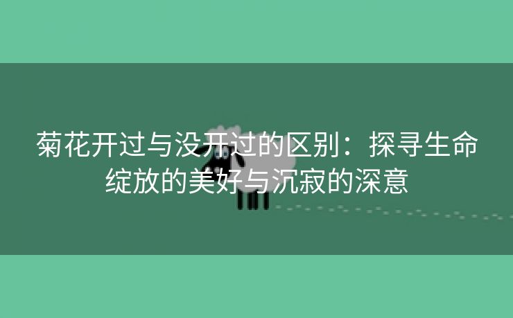 菊花开过与没开过的区别：探寻生命绽放的美好与沉寂的深意