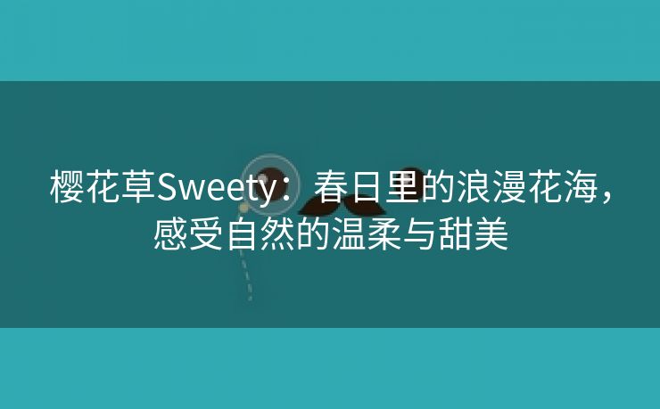 樱花草Sweety：春日里的浪漫花海，感受自然的温柔与甜美