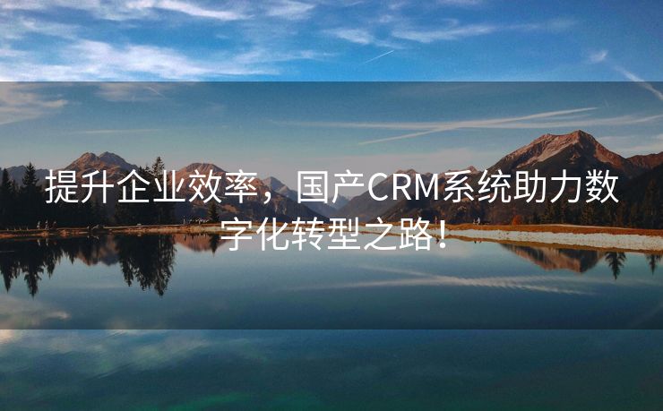 提升企业效率，国产CRM系统助力数字化转型之路！