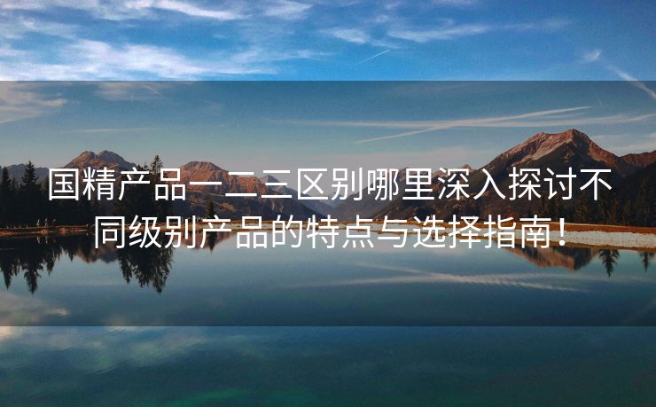 国精产品一二三区别哪里深入探讨不同级别产品的特点与选择指南！