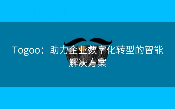 Togoo：助力企业数字化转型的智能解决方案