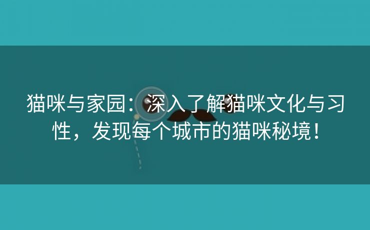 猫咪与家园：深入了解猫咪文化与习性，发现每个城市的猫咪秘境！