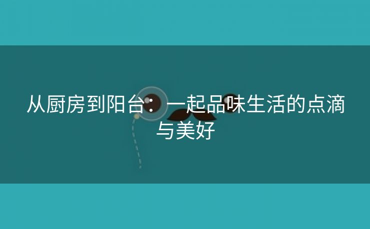 从厨房到阳台：一起品味生活的点滴与美好