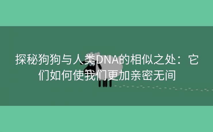 探秘狗狗与人类DNA的相似之处：它们如何使我们更加亲密无间