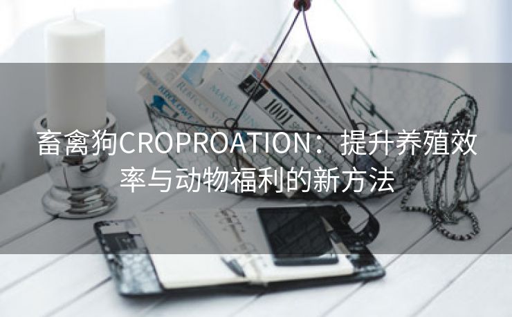 畜禽狗CROPROATION：提升养殖效率与动物福利的新方法