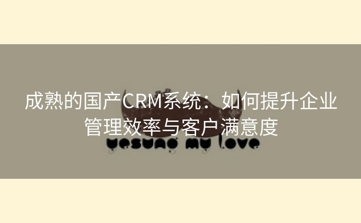 成熟的国产CRM系统：如何提升企业管理效率与客户满意度