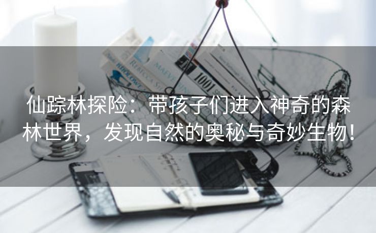 仙踪林探险：带孩子们进入神奇的森林世界，发现自然的奥秘与奇妙生物！