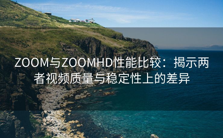 ZOOM与ZOOMHD性能比较：揭示两者视频质量与稳定性上的差异