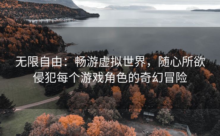 无限自由：畅游虚拟世界，随心所欲侵犯每个游戏角色的奇幻冒险