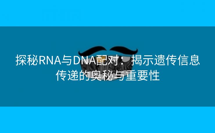 探秘RNA与DNA配对：揭示遗传信息传递的奥秘与重要性