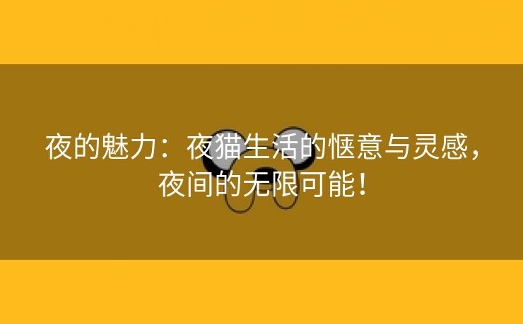 夜的魅力：夜猫生活的惬意与灵感，夜间的无限可能！