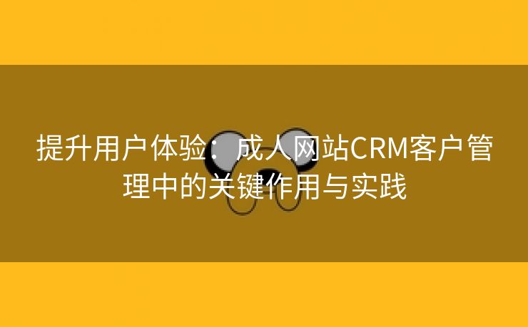 提升用户体验：成人网站CRM客户管理中的关键作用与实践