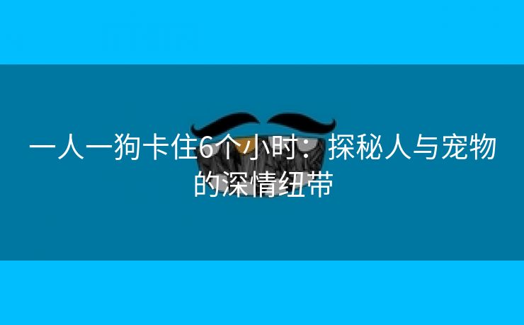 一人一狗卡住6个小时：探秘人与宠物的深情纽带