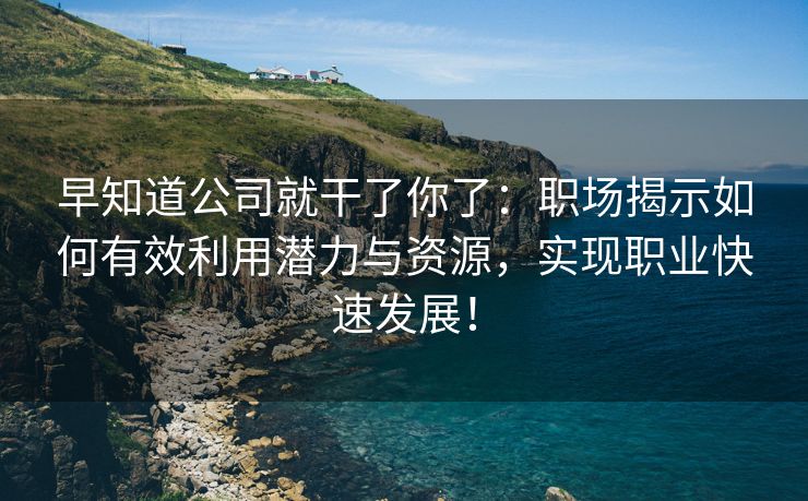 早知道公司就干了你了：职场揭示如何有效利用潜力与资源，实现职业快速发展！