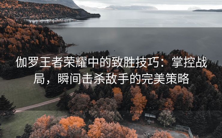 伽罗王者荣耀中的致胜技巧：掌控战局，瞬间击杀敌手的完美策略