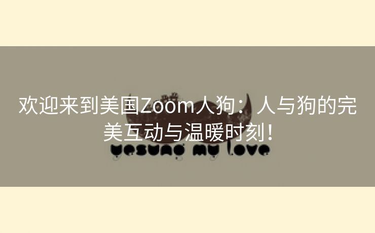 欢迎来到美国Zoom人狗：人与狗的完美互动与温暖时刻！