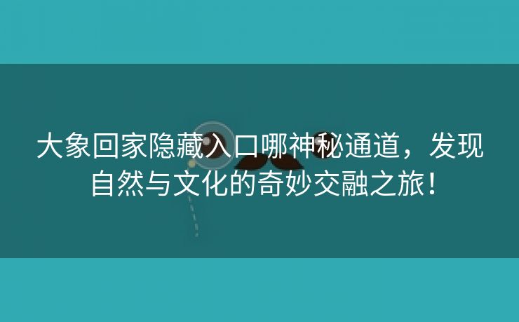 大象回家隐藏入口哪神秘通道，发现自然与文化的奇妙交融之旅！