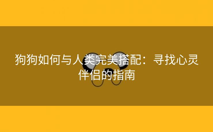 狗狗如何与人类完美搭配：寻找心灵伴侣的指南