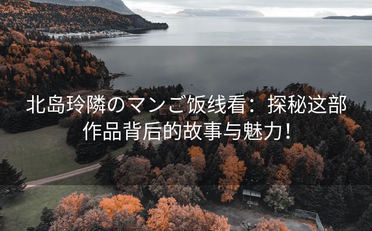 北岛玲隣のマンご饭线看：探秘这部作品背后的故事与魅力！