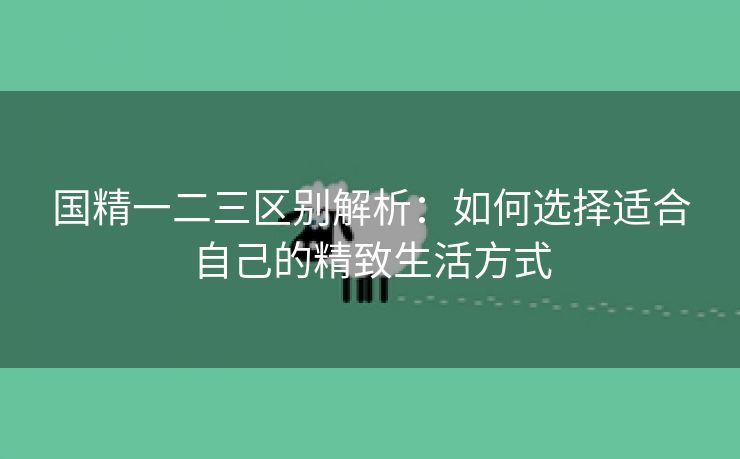 国精一二三区别解析：如何选择适合自己的精致生活方式