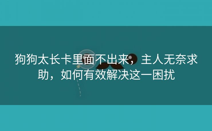 狗狗太长卡里面不出来，主人无奈求助，如何有效解决这一困扰