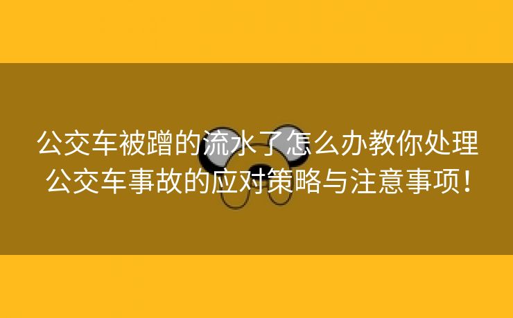 公交车被蹭的流水了怎么办教你处理公交车事故的应对策略与注意事项！