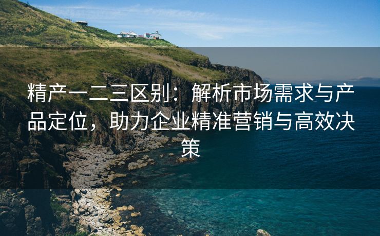 精产一二三区别：解析市场需求与产品定位，助力企业精准营销与高效决策