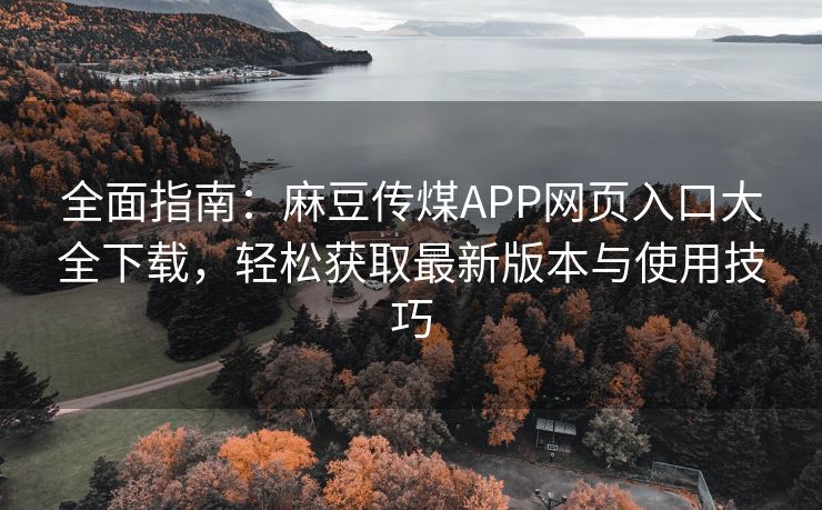 全面指南：麻豆传煤APP网页入口大全下载，轻松获取最新版本与使用技巧