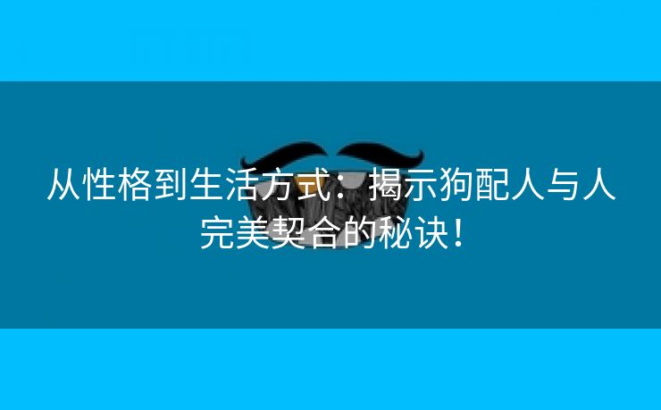 从性格到生活方式：揭示狗配人与人完美契合的秘诀！