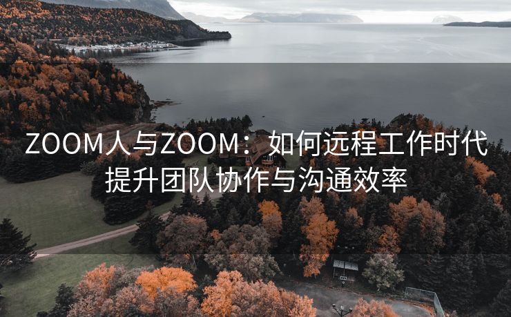 ZOOM人与ZOOM：如何远程工作时代提升团队协作与沟通效率