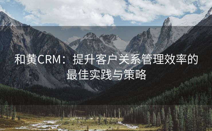 和黄CRM：提升客户关系管理效率的最佳实践与策略