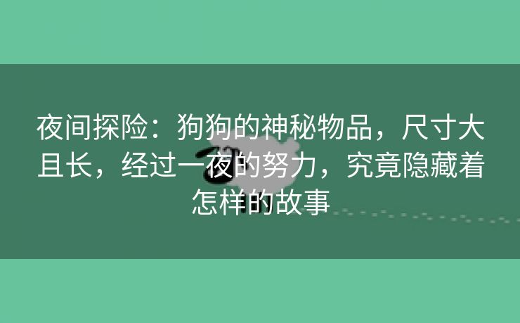 夜间探险：狗狗的神秘物品，尺寸大且长，经过一夜的努力，究竟隐藏着怎样的故事