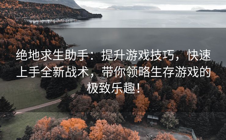 绝地求生助手：提升游戏技巧，快速上手全新战术，带你领略生存游戏的极致乐趣！