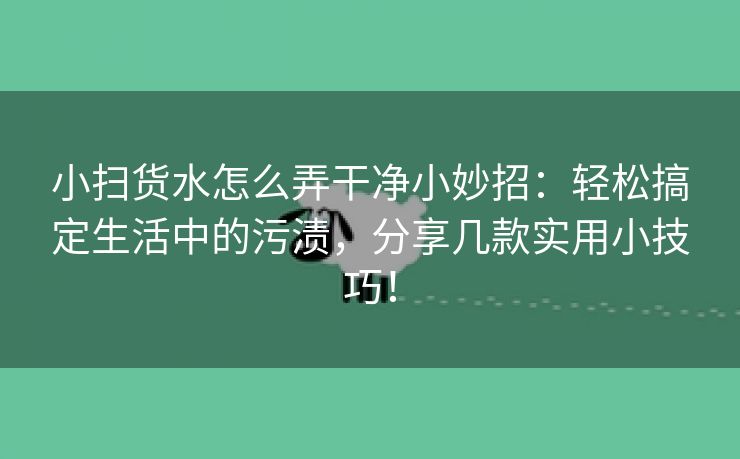 小扫货水怎么弄干净小妙招：轻松搞定生活中的污渍，分享几款实用小技巧！