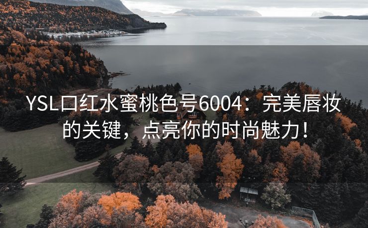 YSL口红水蜜桃色号6004：完美唇妆的关键，点亮你的时尚魅力！