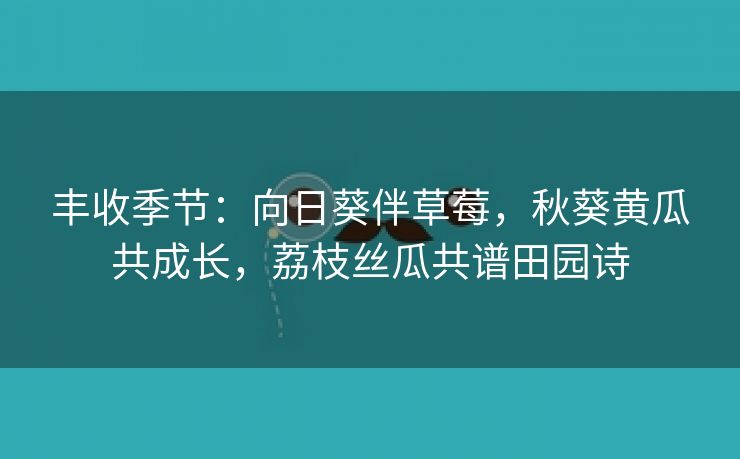 丰收季节：向日葵伴草莓，秋葵黄瓜共成长，荔枝丝瓜共谱田园诗