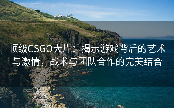 顶级CSGO大片：揭示游戏背后的艺术与激情，战术与团队合作的完美结合